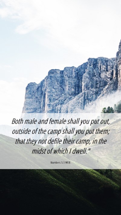 Picture 06 - Numbers 5:3 WEB Mobile Phone Wallpaper - Both male and female shall you put out, outside - Mobile Bible Verse Wallpaper