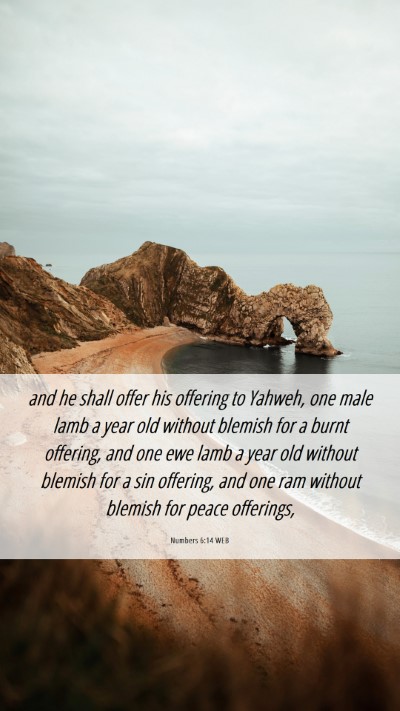 Picture 06 - Numbers 6:14 WEB Mobile Phone Wallpaper - and he shall offer his offering to Yahweh, one - Mobile Bible Verse Wallpaper