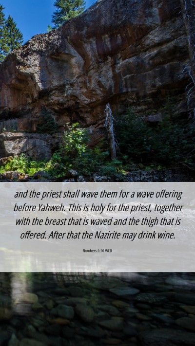 Picture 06 - Numbers 6:20 WEB Mobile Phone Wallpaper - and the priest shall wave them for a wave - Mobile Bible Verse Wallpaper