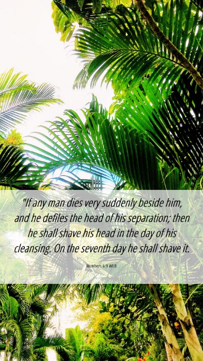 Picture 06 - Numbers 6:9 WEB Mobile Phone Wallpaper - 