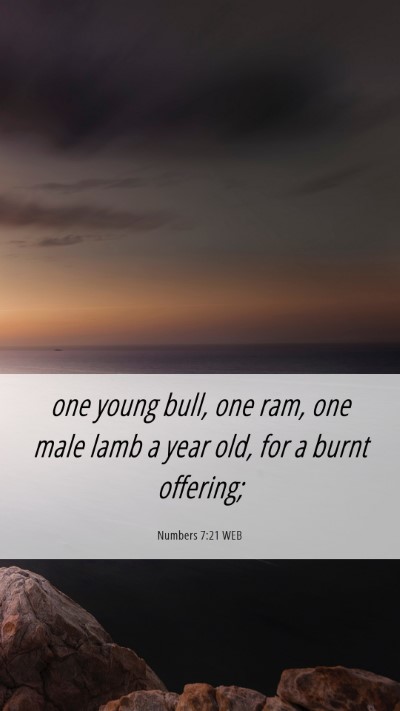 Picture 06 - Numbers 7:21 WEB Mobile Phone Wallpaper - one young bull, one ram, one male lamb a year - Mobile Bible Verse Wallpaper
