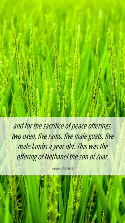 Picture 06 - Numbers 7:23 WEB Mobile Phone Wallpaper - and for the sacrifice of peace offerings, two - Mobile Bible Verse Wallpaper