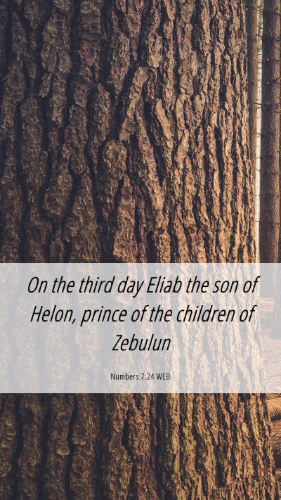 Picture 06 - Numbers 7:24 WEB Mobile Phone Wallpaper - On the third day Eliab the son of Helon, prince - Mobile Bible Verse Wallpaper