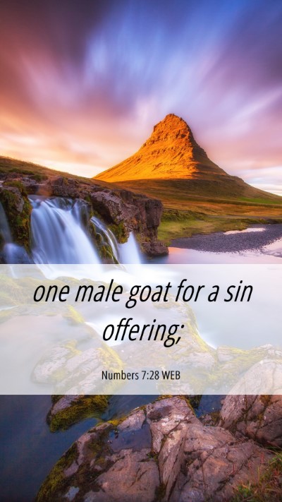 Picture 06 - Numbers 7:28 WEB Mobile Phone Wallpaper - one male goat for a sin - Mobile Bible Verse Wallpaper