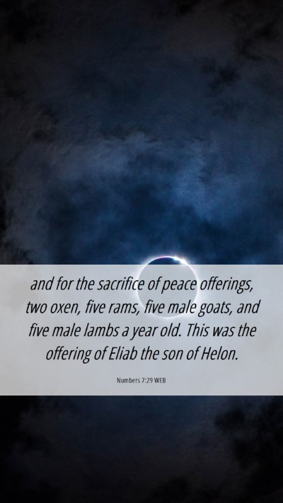 Picture 06 - Numbers 7:29 WEB Mobile Phone Wallpaper - and for the sacrifice of peace offerings, two - Mobile Bible Verse Wallpaper