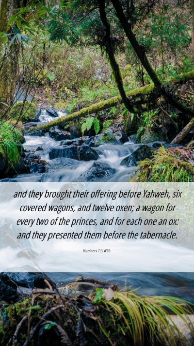 Picture 06 - Numbers 7:3 WEB Mobile Phone Wallpaper - and they brought their offering before Yahweh, - Mobile Bible Verse Wallpaper