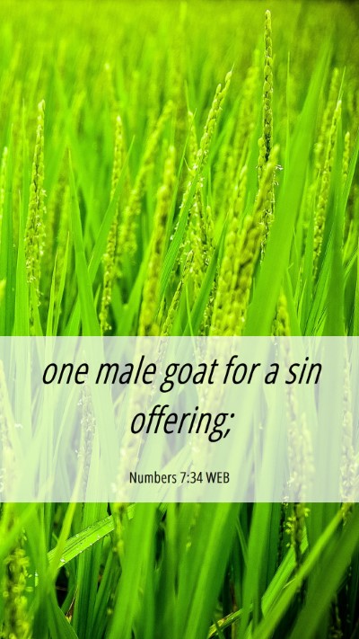 Picture 06 - Numbers 7:34 WEB Mobile Phone Wallpaper - one male goat for a sin - Mobile Bible Verse Wallpaper