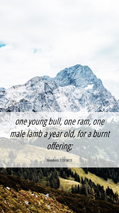 Picture 06 - Numbers 7:39 WEB Mobile Phone Wallpaper - one young bull, one ram, one male lamb a year - Mobile Bible Verse Wallpaper