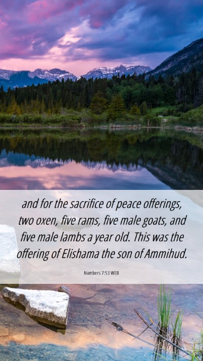 Picture 06 - Numbers 7:53 WEB Mobile Phone Wallpaper - and for the sacrifice of peace offerings, two - Mobile Bible Verse Wallpaper