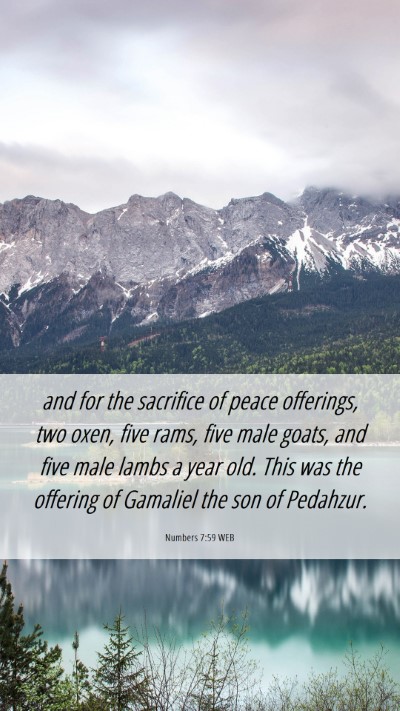 Picture 06 - Numbers 7:59 WEB Mobile Phone Wallpaper - and for the sacrifice of peace offerings, two - Mobile Bible Verse Wallpaper