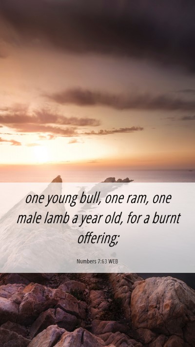 Picture 06 - Numbers 7:63 WEB Mobile Phone Wallpaper - one young bull, one ram, one male lamb a year - Mobile Bible Verse Wallpaper