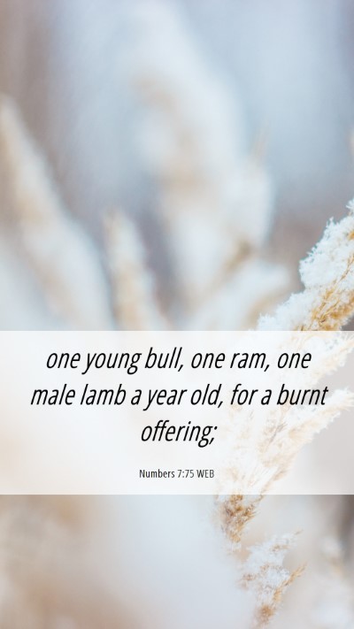 Picture 06 - Numbers 7:75 WEB Mobile Phone Wallpaper - one young bull, one ram, one male lamb a year - Mobile Bible Verse Wallpaper
