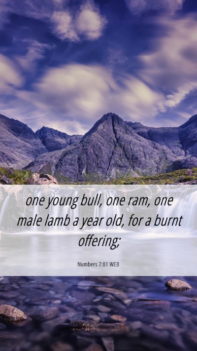 Picture 06 - Numbers 7:81 WEB Mobile Phone Wallpaper - one young bull, one ram, one male lamb a year - Mobile Bible Verse Wallpaper