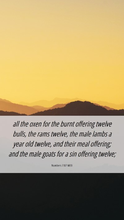 Picture 06 - Numbers 7:87 WEB Mobile Phone Wallpaper - all the oxen for the burnt offering twelve bulls, - Mobile Bible Verse Wallpaper