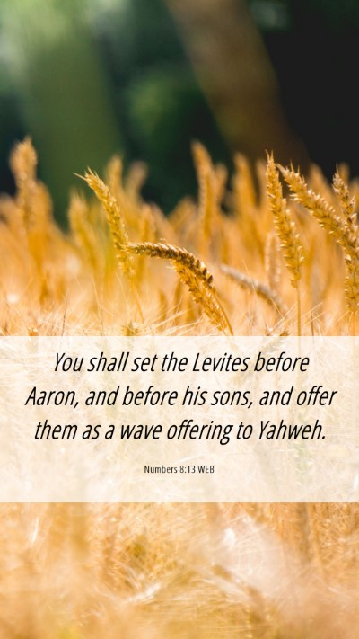 Picture 06 - Numbers 8:13 WEB Mobile Phone Wallpaper - You shall set the Levites before Aaron, and - Mobile Bible Verse Wallpaper
