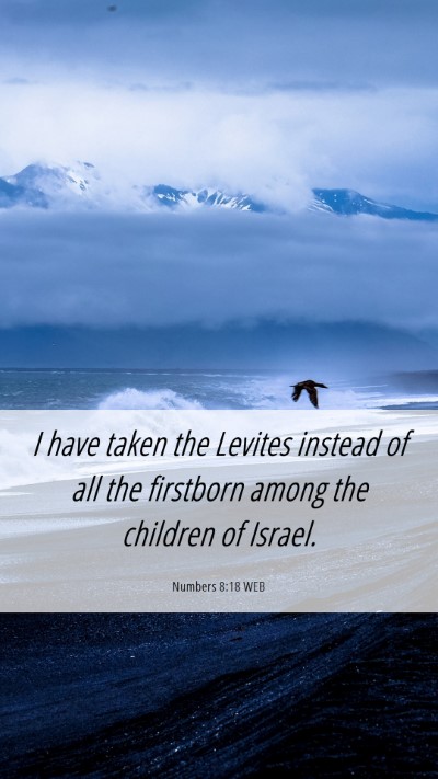 Picture 06 - Numbers 8:18 WEB Mobile Phone Wallpaper - I have taken the Levites instead of all the - Mobile Bible Verse Wallpaper