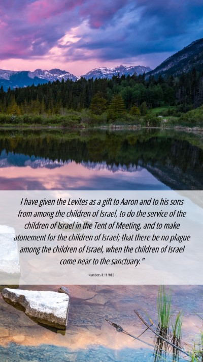 Picture 06 - Numbers 8:19 WEB Mobile Phone Wallpaper - I have given the Levites as a gift to Aaron and - Mobile Bible Verse Wallpaper