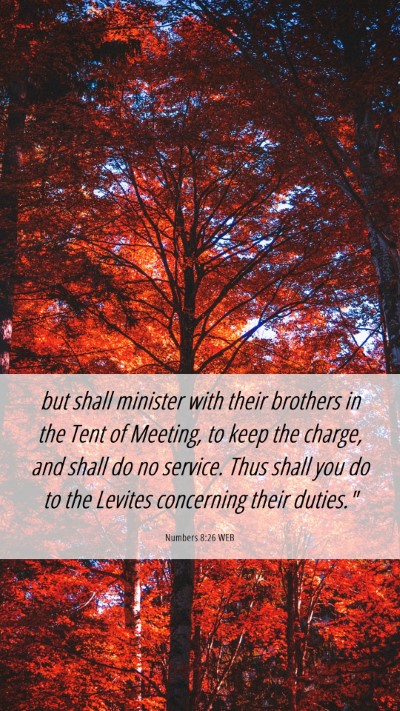 Picture 06 - Numbers 8:26 WEB Mobile Phone Wallpaper - but shall minister with their brothers in the - Mobile Bible Verse Wallpaper