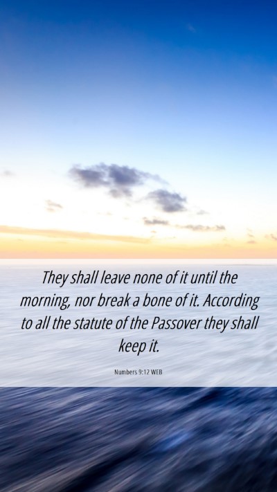 Picture 06 - Numbers 9:12 WEB Mobile Phone Wallpaper - They shall leave none of it until the morning, - Mobile Bible Verse Wallpaper