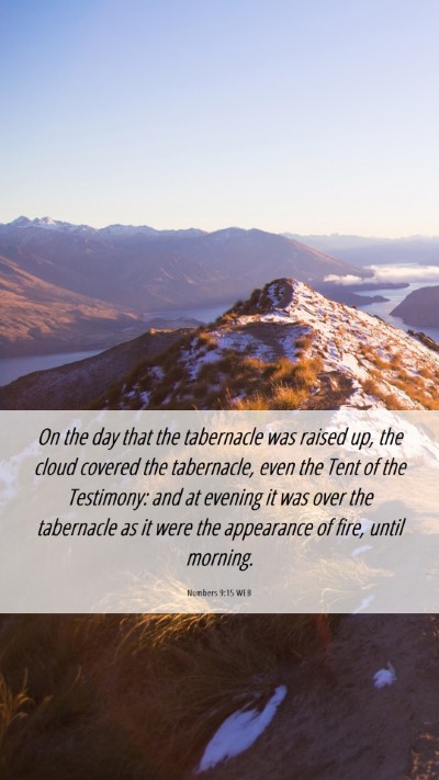 Picture 06 - Numbers 9:15 WEB Mobile Phone Wallpaper - On the day that the tabernacle was raised up, the - Mobile Bible Verse Wallpaper