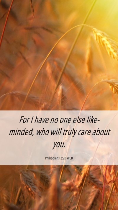 Picture 06 - Philippians 2:20 WEB Mobile Phone Wallpaper - For I have no one else like-minded, who will - Mobile Bible Verse Wallpaper