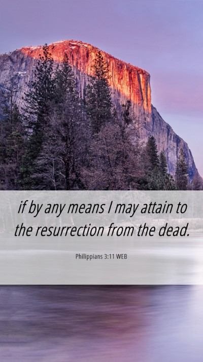 Picture 06 - Philippians 3:11 WEB Mobile Phone Wallpaper - if by any means I may attain to the resurrection - Mobile Bible Verse Wallpaper