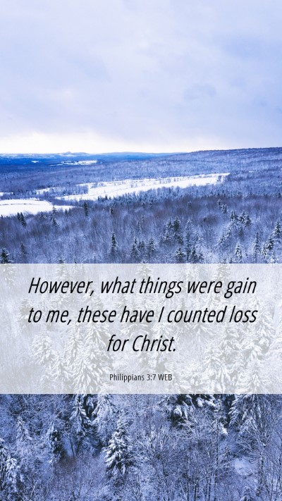 Picture 06 - Philippians 3:7 WEB Mobile Phone Wallpaper - However, what things were gain to me, these have - Mobile Bible Verse Wallpaper