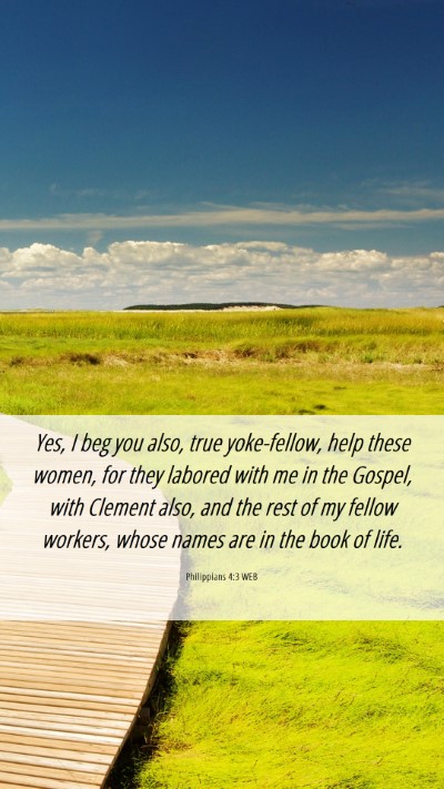 Picture 06 - Philippians 4:3 WEB Mobile Phone Wallpaper - Yes, I beg you also, true yoke-fellow, help these - Mobile Bible Verse Wallpaper