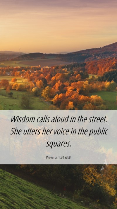 Picture 06 - Proverbs 1:20 WEB Mobile Phone Wallpaper - Wisdom calls aloud in the street. She utters her - Mobile Bible Verse Wallpaper