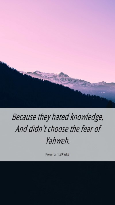 Picture 06 - Proverbs 1:29 WEB Mobile Phone Wallpaper - Because they hated knowledge, And didn't choose - Mobile Bible Verse Wallpaper