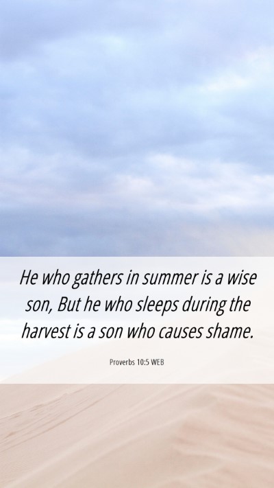 Picture 06 - Proverbs 10:5 WEB Mobile Phone Wallpaper - He who gathers in summer is a wise son, But he - Mobile Bible Verse Wallpaper