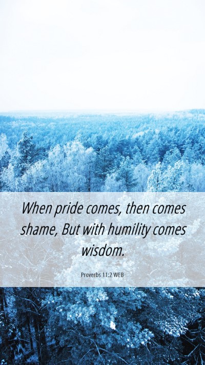 Picture 06 - Proverbs 11:2 WEB Mobile Phone Wallpaper - When pride comes, then comes shame, But with - Mobile Bible Verse Wallpaper