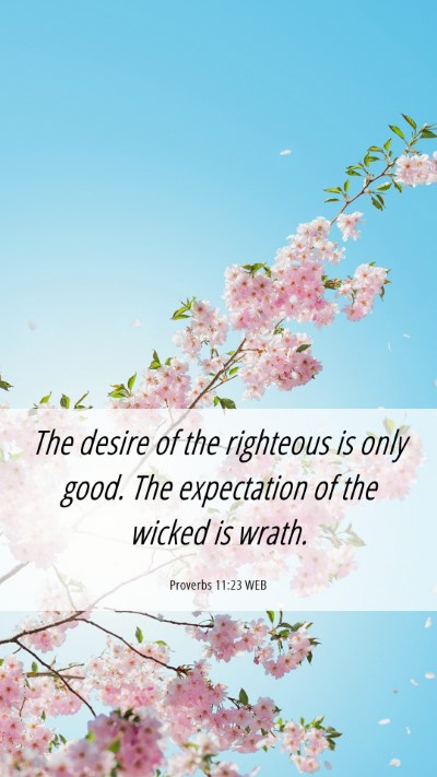 Picture 06 - Proverbs 11:23 WEB Mobile Phone Wallpaper - The desire of the righteous is only good. The - Mobile Bible Verse Wallpaper