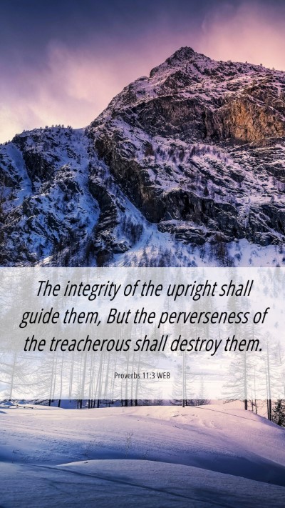 Picture 06 - Proverbs 11:3 WEB Mobile Phone Wallpaper - The integrity of the upright shall guide them, - Mobile Bible Verse Wallpaper