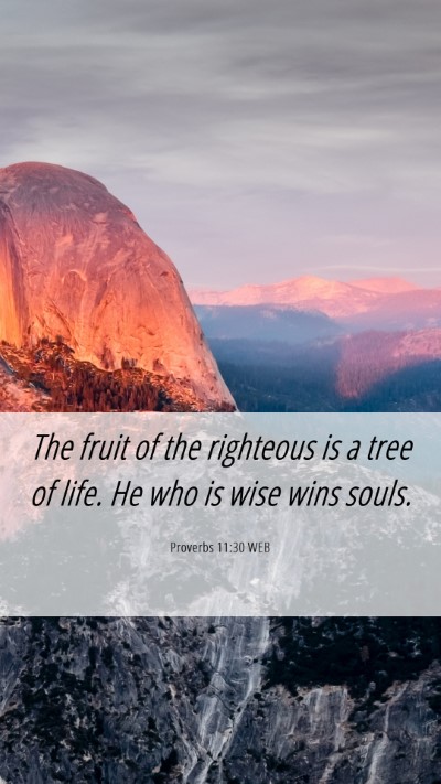 Picture 06 - Proverbs 11:30 WEB Mobile Phone Wallpaper - The fruit of the righteous is a tree of life. He - Mobile Bible Verse Wallpaper