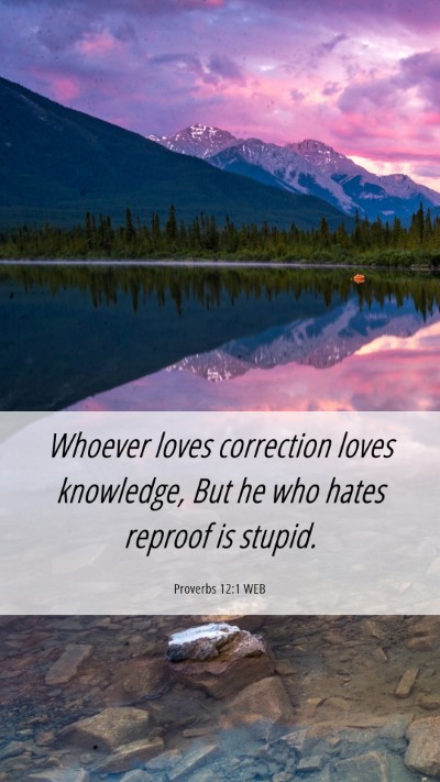 Picture 06 - Proverbs 12:1 WEB Mobile Phone Wallpaper - Whoever loves correction loves knowledge, But he - Mobile Bible Verse Wallpaper