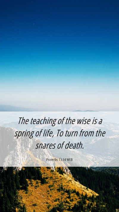 Picture 06 - Proverbs 13:14 WEB Mobile Phone Wallpaper - The teaching of the wise is a spring of life, To - Mobile Bible Verse Wallpaper