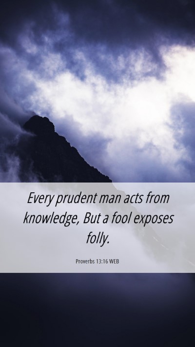 Picture 06 - Proverbs 13:16 WEB Mobile Phone Wallpaper - Every prudent man acts from knowledge, But a fool - Mobile Bible Verse Wallpaper