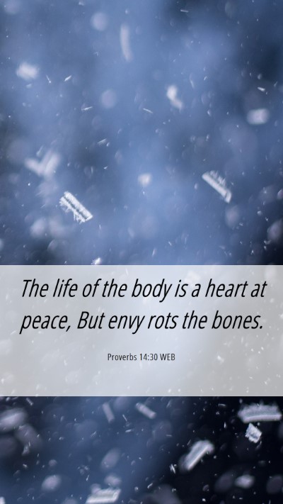 Picture 06 - Proverbs 14:30 WEB Mobile Phone Wallpaper - The life of the body is a heart at peace, But - Mobile Bible Verse Wallpaper