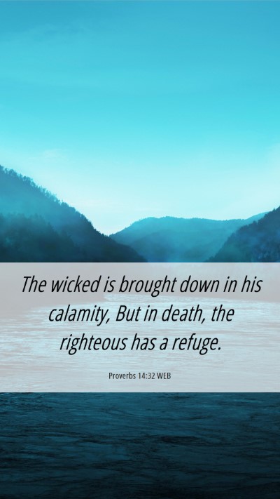 Picture 06 - Proverbs 14:32 WEB Mobile Phone Wallpaper - The wicked is brought down in his calamity, But - Mobile Bible Verse Wallpaper