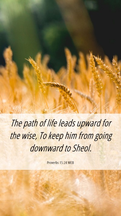 Picture 06 - Proverbs 15:24 WEB Mobile Phone Wallpaper - The path of life leads upward for the wise, To - Mobile Bible Verse Wallpaper
