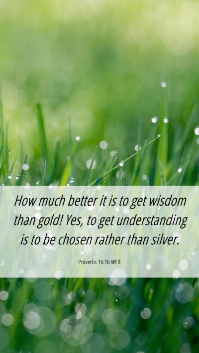 Picture 06 - Proverbs 16:16 WEB Mobile Phone Wallpaper - How much better it is to get wisdom than gold! - Mobile Bible Verse Wallpaper