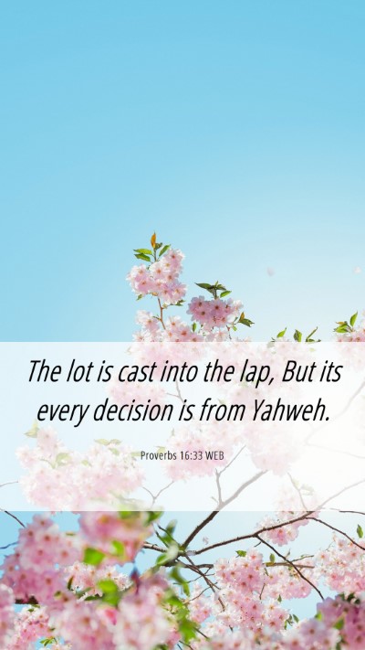 Picture 06 - Proverbs 16:33 WEB Mobile Phone Wallpaper - The lot is cast into the lap, But its every - Mobile Bible Verse Wallpaper