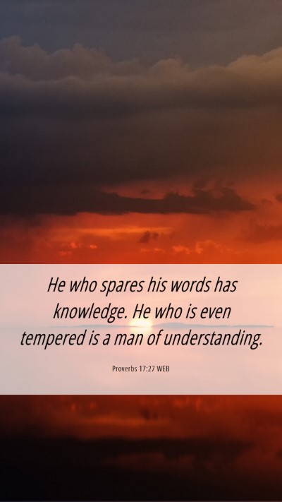 Picture 06 - Proverbs 17:27 WEB Mobile Phone Wallpaper - He who spares his words has knowledge. He who is - Mobile Bible Verse Wallpaper
