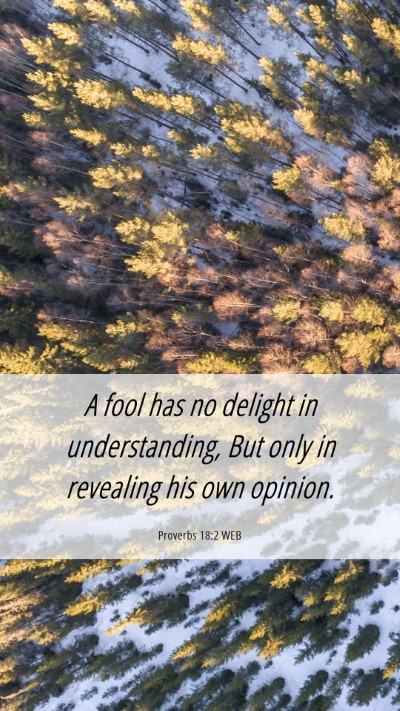 Picture 06 - Proverbs 18:2 WEB Mobile Phone Wallpaper - A fool has no delight in understanding, But only - Mobile Bible Verse Wallpaper