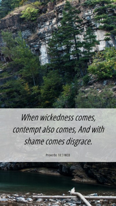 Picture 06 - Proverbs 18:3 WEB Mobile Phone Wallpaper - When wickedness comes, contempt also comes, And - Mobile Bible Verse Wallpaper