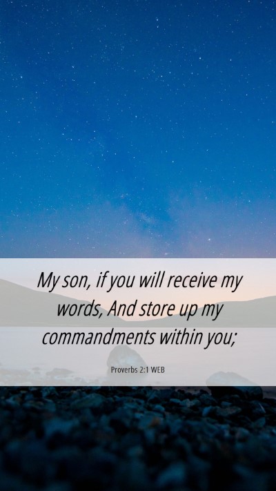 Picture 06 - Proverbs 2:1 WEB Mobile Phone Wallpaper - My son, if you will receive my words, And store - Mobile Bible Verse Wallpaper