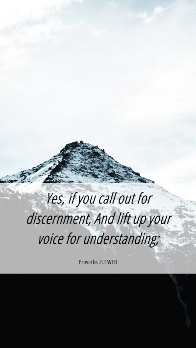 Picture 06 - Proverbs 2:3 WEB Mobile Phone Wallpaper - Yes, if you call out for discernment, And lift up - Mobile Bible Verse Wallpaper