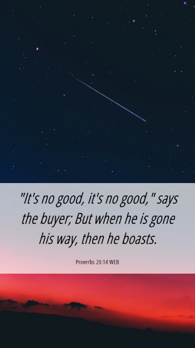 Picture 06 - Proverbs 20:14 WEB Mobile Phone Wallpaper - 