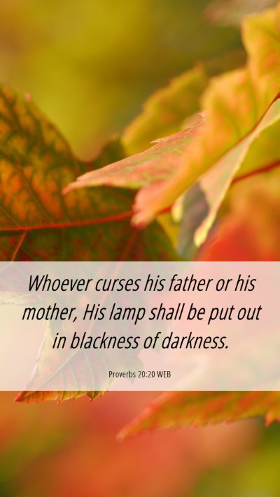 Picture 06 - Proverbs 20:20 WEB Mobile Phone Wallpaper - Whoever curses his father or his mother, His lamp - Mobile Bible Verse Wallpaper